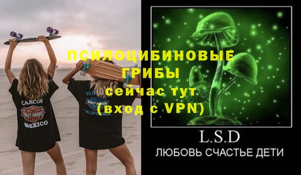 твердый Балахна