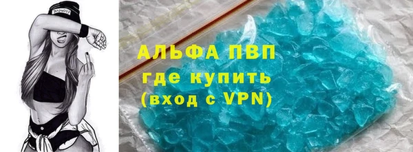 Альфа ПВП Новозыбков