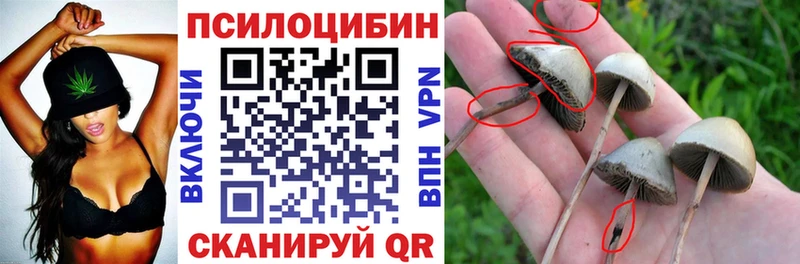 Галлюциногенные грибы прущие грибы  Северо-Курильск 
